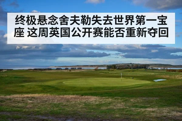终极悬念舍夫勒失去世界第一宝座 这周英国公开赛能否重新夺回