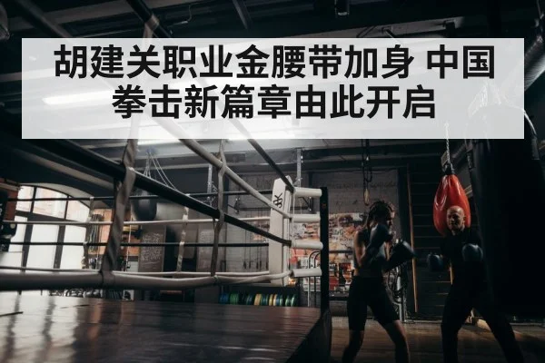 胡建关职业金腰带加身 中国拳击新篇章由此开启